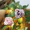 6FT Artificial Flower String Lights Battery Operated Rose Floral Garland with 20 LED Fairy Lights
